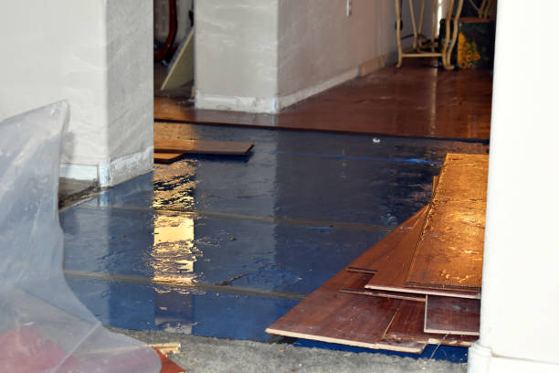 Professional Burst Pipe Cleanup technician working in Perry, LA